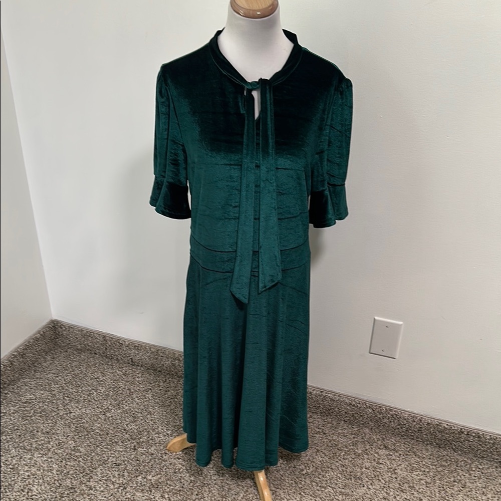 😊 Ranphee Velvet Dress